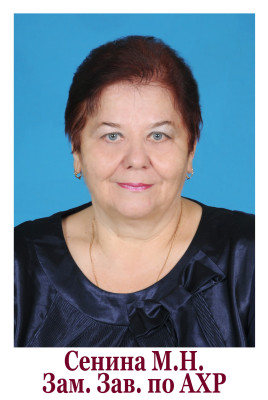 Заместитель заведующего Сенина Мария Николаевна Заместитель заведующего Сенина Мария Николаевна